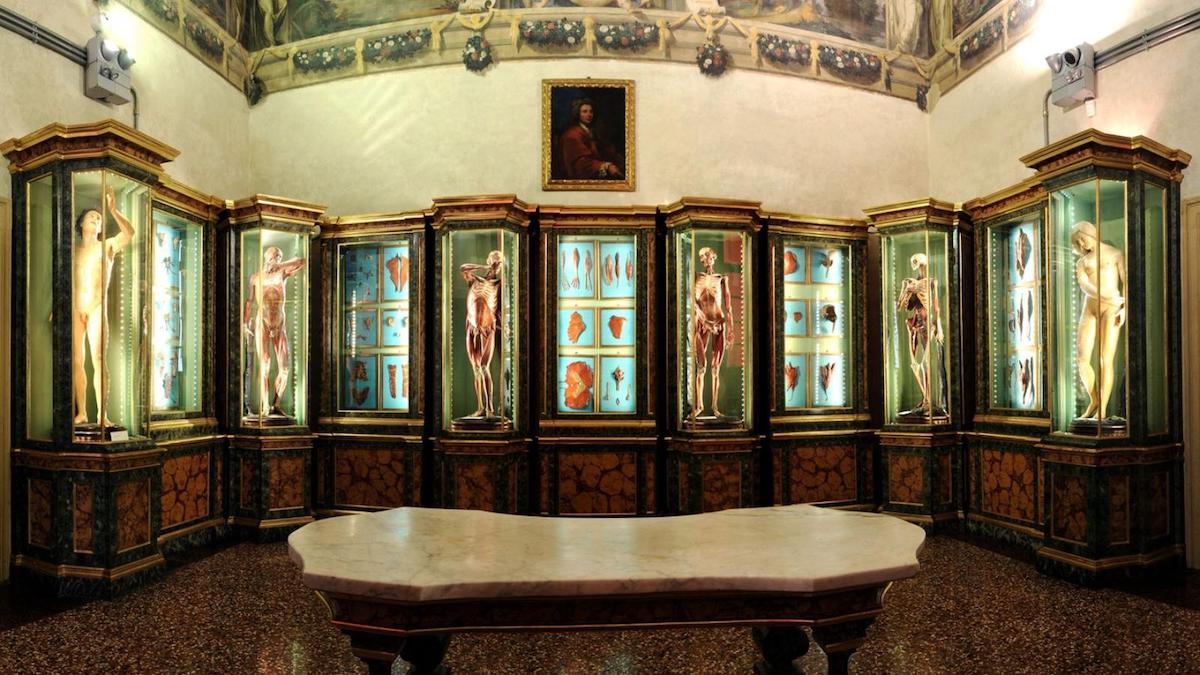 Inside Palazzo Poggi (credit: Bologna Welcome)