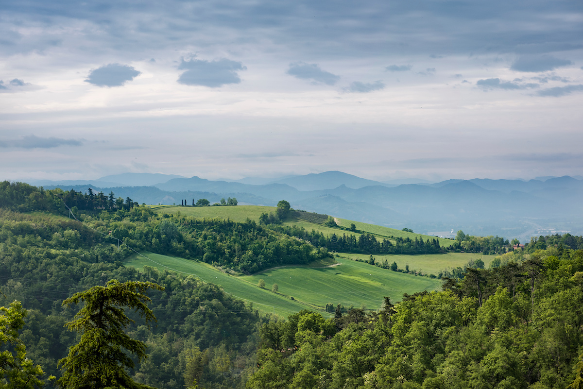 The Bologna Hills in summer