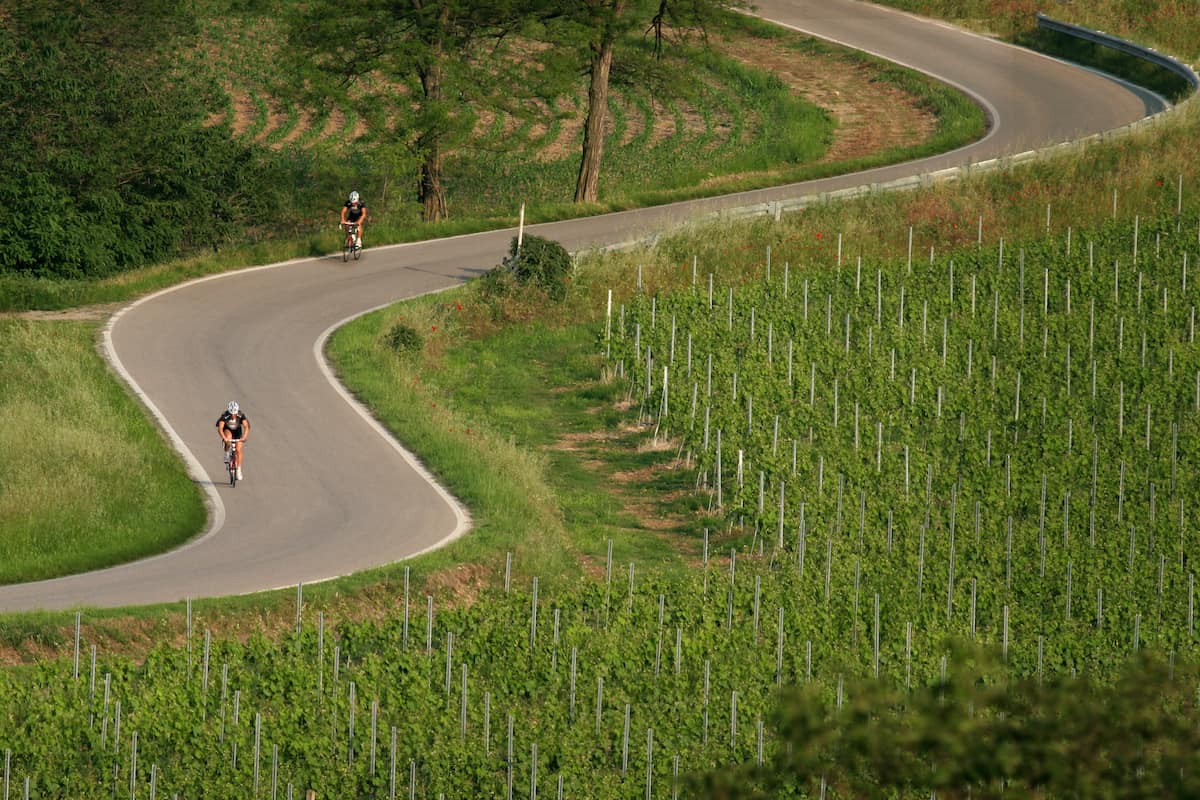 Cycling through the vineyards in Custoza