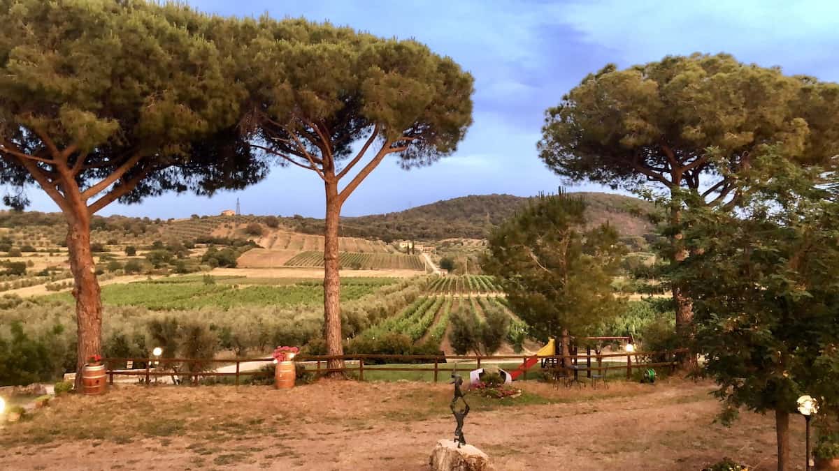 Buiichella Winery vineyards in Suvereto