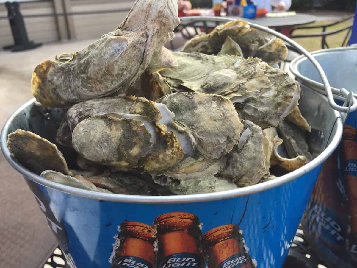 Freshly shucked oysters are a winter treat (credit: Jerome Levine)