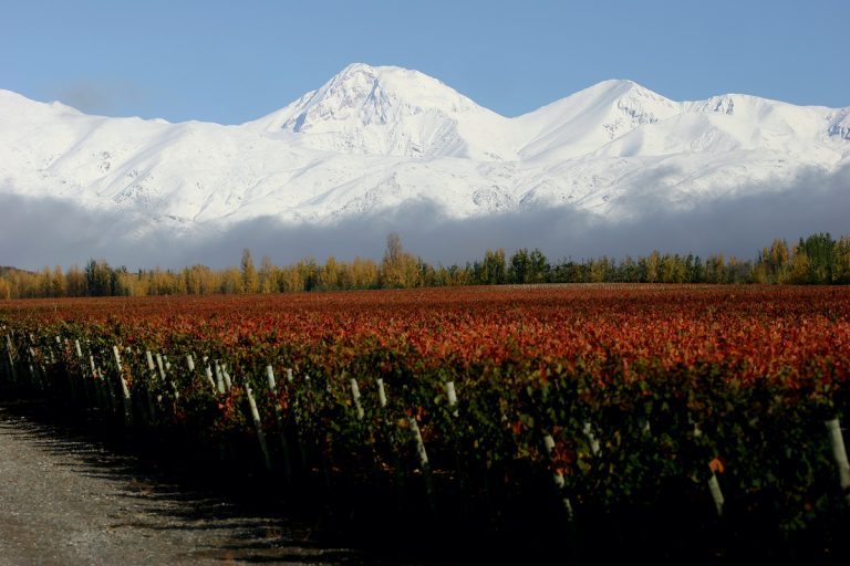 Tasting Bodegas Caro Wines: Malbec from Argentina