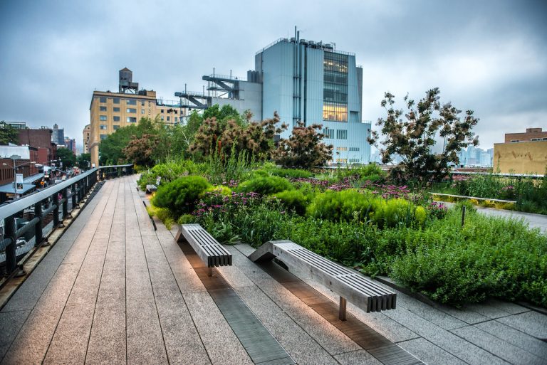 The High Line New York: An Elevated City Oasis