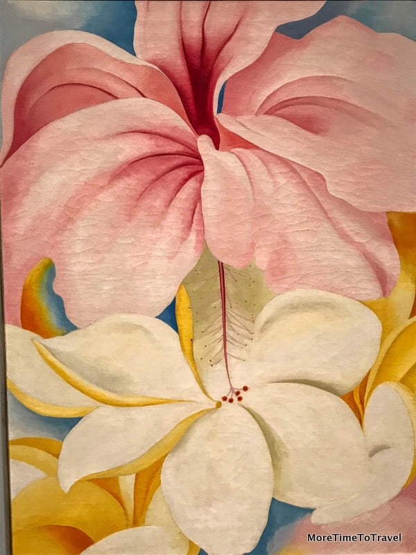 Hibiscus with Plumeria (on loan from the Smithsonian)