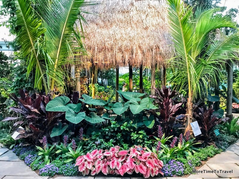 Inside the Conservatory