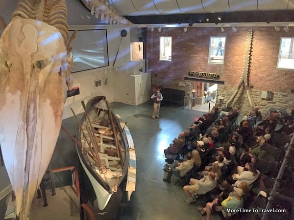 Visitors listen to a lecture in Gosnell Hall with the sperm whale skeleton overhead