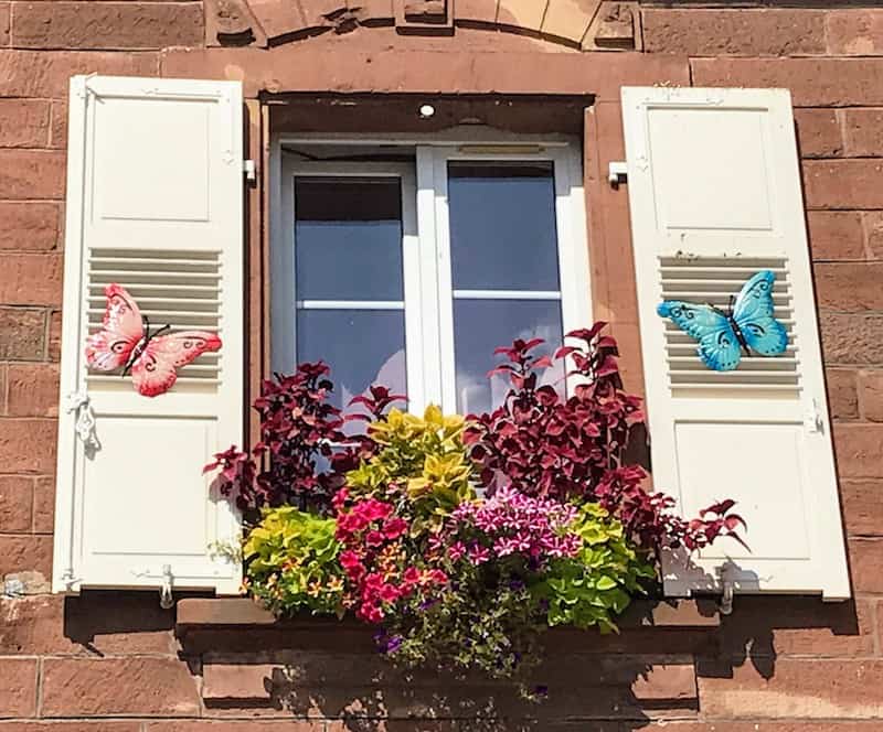 Window in La Petite-Pierre