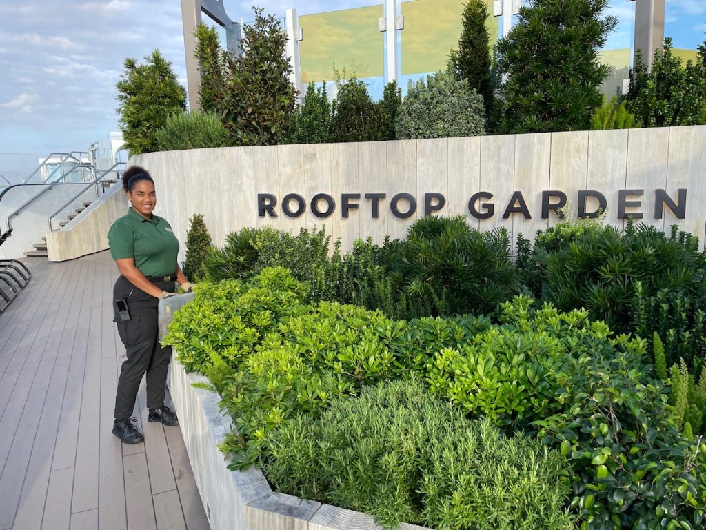 The rooftop garden