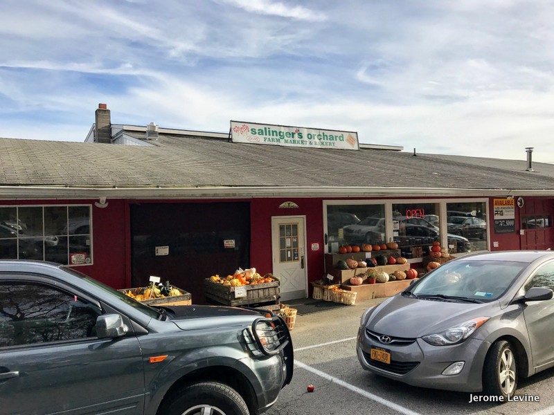 Salinger's Orchards in Brewster, NY