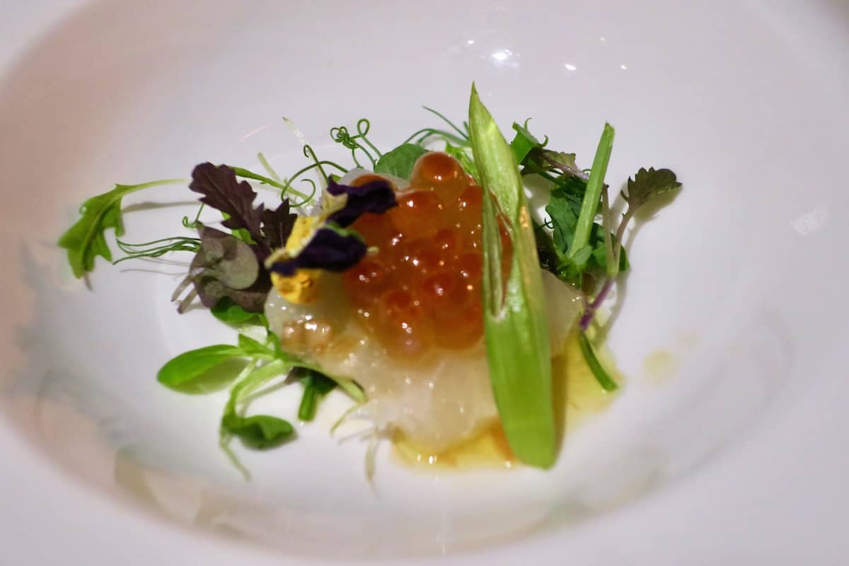 Halibut Crudo with Caviar appetizer at Fox Harb'r Resort