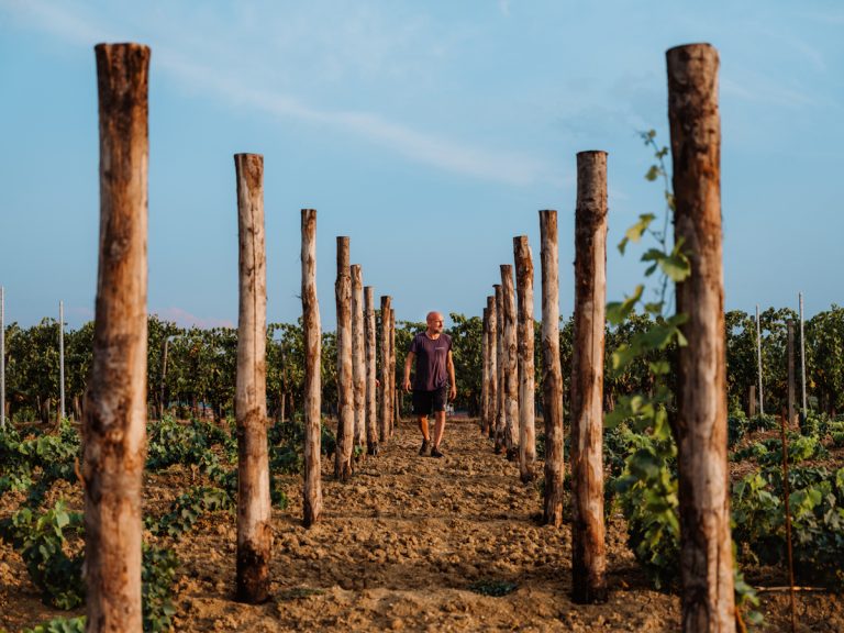 Madrevite: Umbrian Wines Link the Past and Present