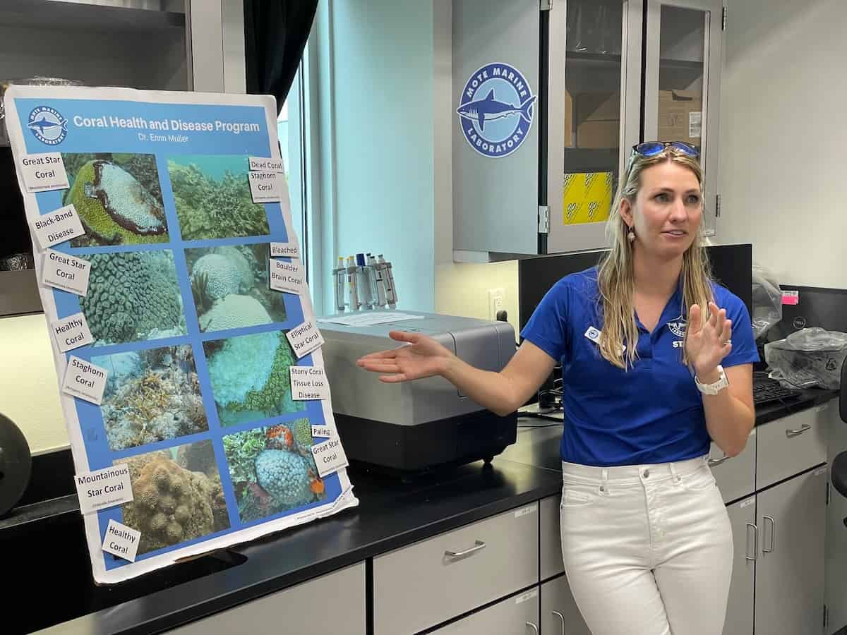 Mote Marine Laboratory guide describes healthy and dying coral