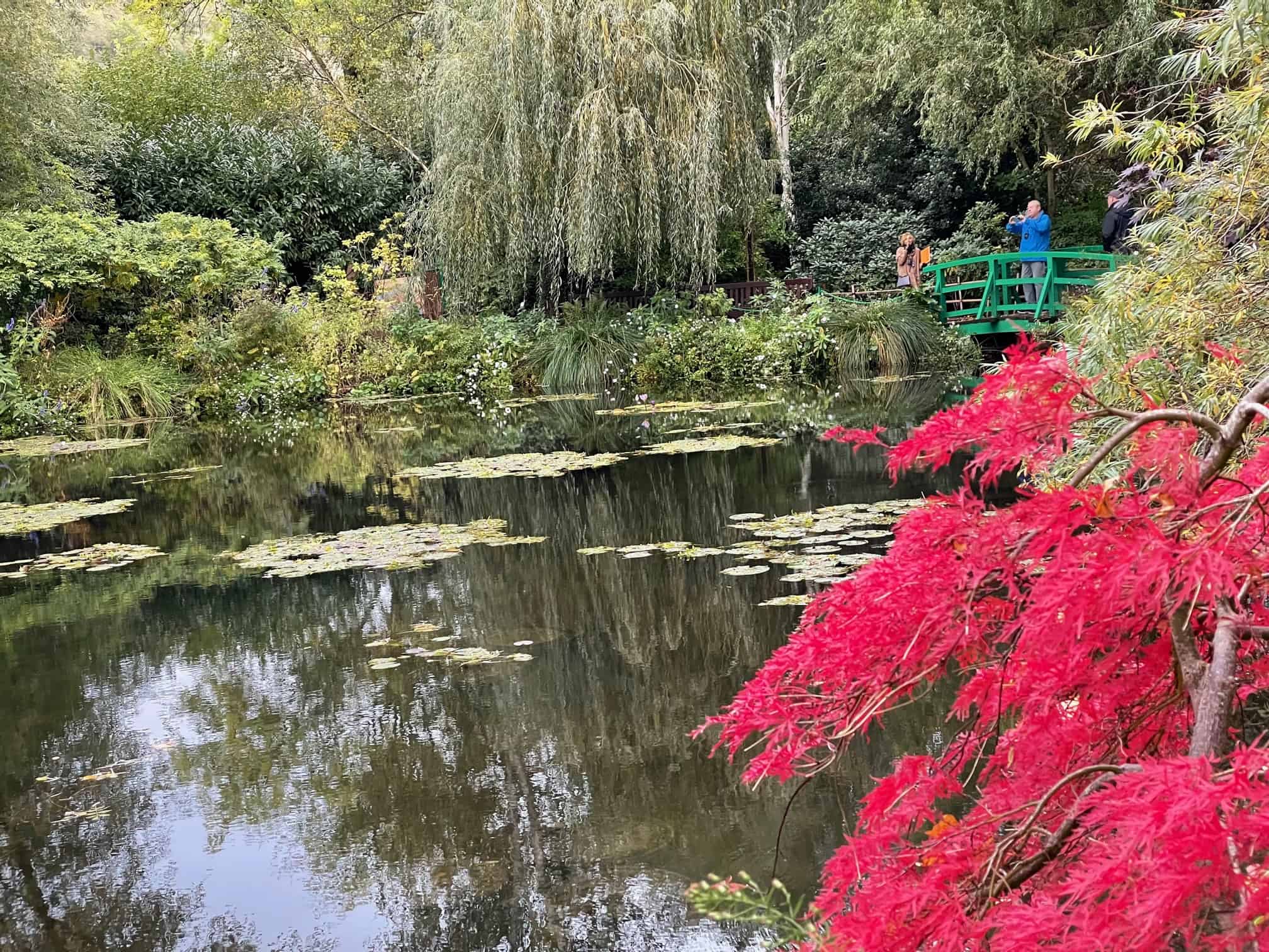 Monet's Water Garden