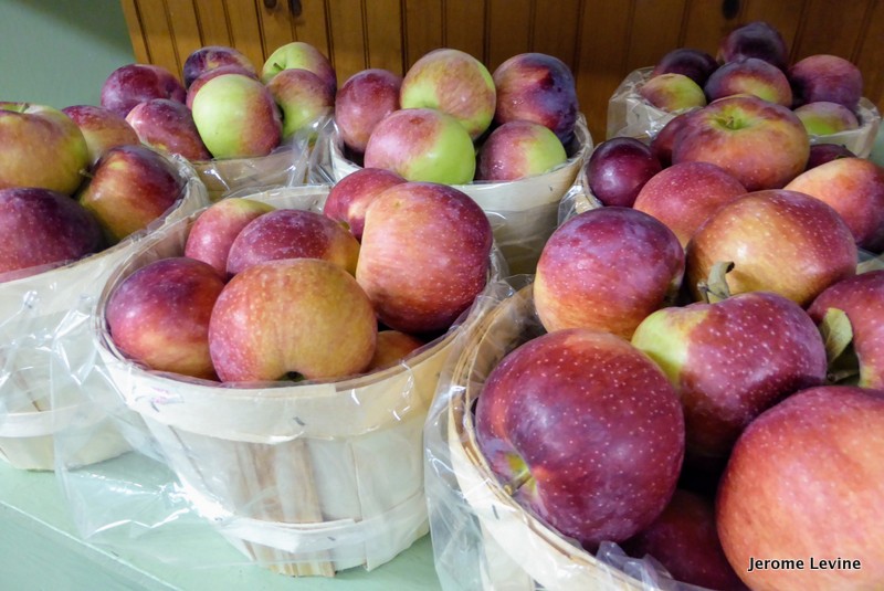 Freshly-picked Hudson Valley apples