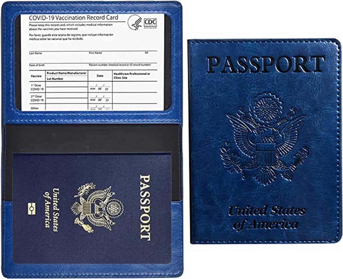 Passport and vaccine card holder