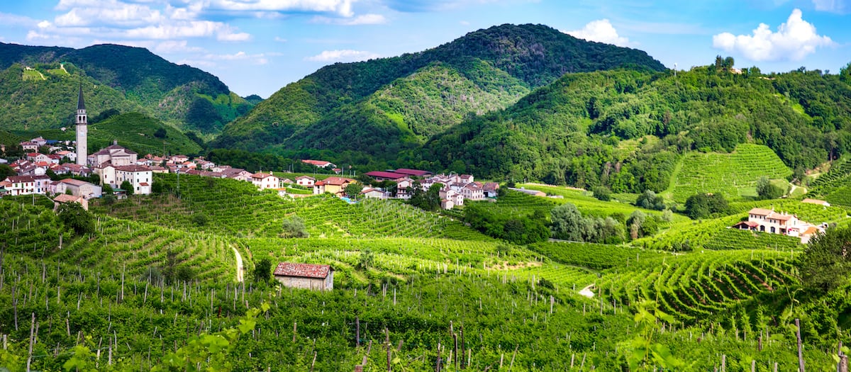 Hills and vineyards on the Prosecco Wine Road