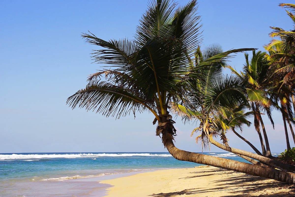 Bavaro Beach in Dominican Republic