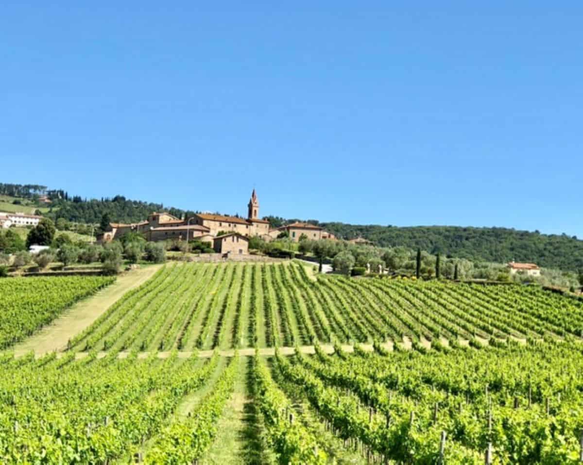 Moving to Italy to San Gusme nestled above the vines