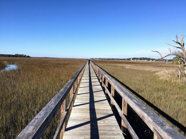 6 Reasons to Visit Seabrook Island: Charleston’s Island Playground