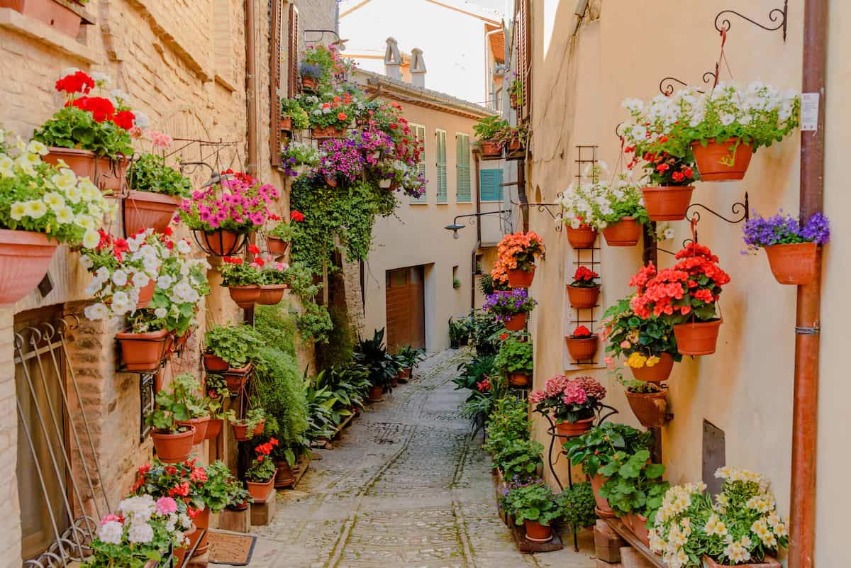 Spello in spring, a beautiful village in the region of Umbria