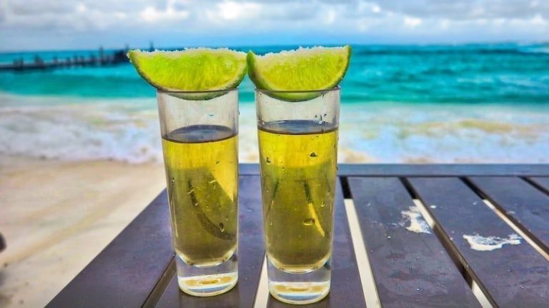 What is Tequila? A Crash Course for National Tequila Day