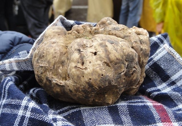 Sant’Agata Feltria: On the trail of the white truffle festival