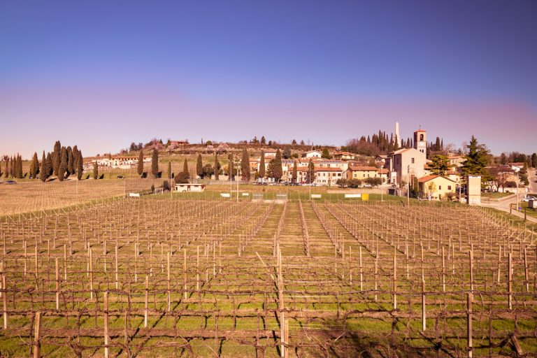 Discover Custoza: Wine Tourism Close to Verona