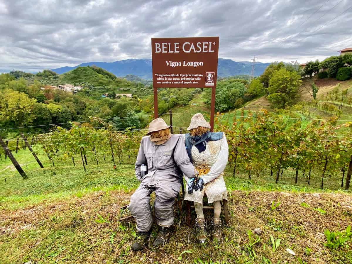 The Vineyards of Bele Casel in Asolo Italy