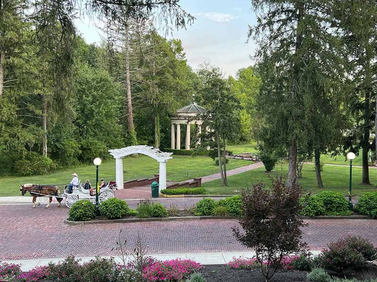 View from our veranda: A horse-drawn carriage