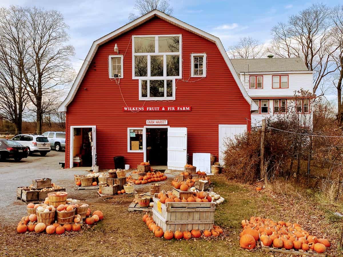 Wilkins Farm in Westchester County, NY