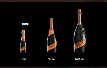 Lineup of Prosecco bottle formats