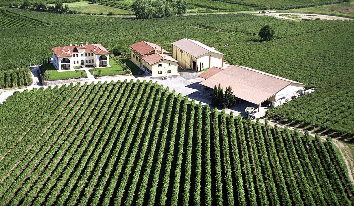 Monte del Fra winery and vineyards in Custoza, Italy