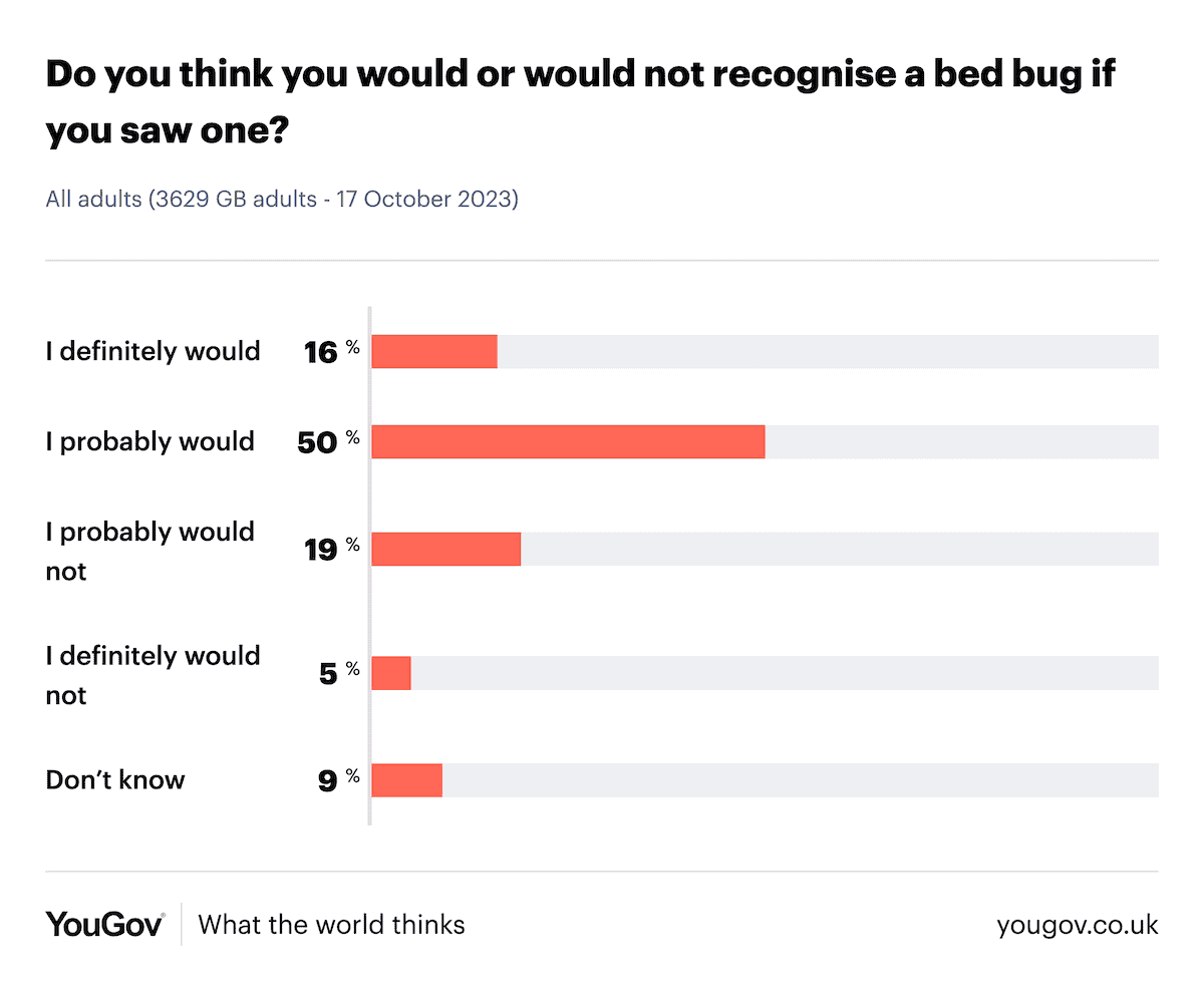 YouGov bedbug survey