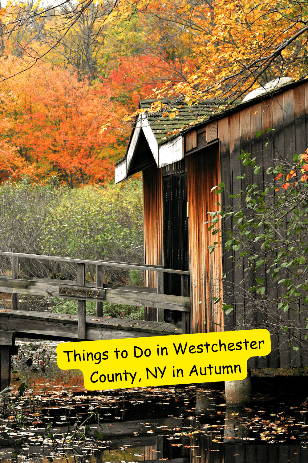 Things to do in Westchester County in Autumn